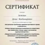 Сертификат Зезюлин Денис Владимирович - Зезюлин Денис Владимирович