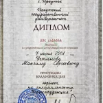 Диплом Устинов М.С. - Устинов Максим Сергеевич