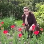 Опалева Ольга Николаевна Адвокат в Екатеринбурге Опалева Ольга Николаевна Адвокат в Екатеринбурге