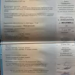 Приложение к диплому Шефинг С.С. - Шефинг Серафима Сергеевна