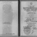 Диплом магистра юриспруденции - Гревнов Андрей Александрович