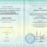 Диплом Егоров Дмитрий В. - Егоров Дмитрий Владимирович