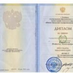Диплом - Карпова Наталья Александровна