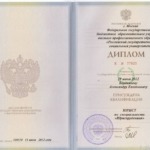 Диплом - Бердников Александр Евгеньевич