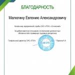 Благодарность от РЭУ - Малюгин Евгений Александрович