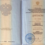 Диплом - Хамматов Тимур Ильясович