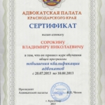 Сертификат - Сорокин Владимир Николаевич