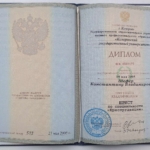 Диплом о ВО - Шефер Константин Владимирович