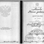 Диплом Ротова В.С. - Ротов Владимир Сергеевич