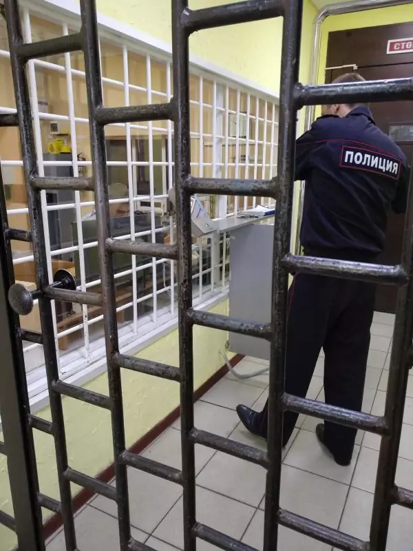 Адвокат Карданец Артем Викторович объясняет: УДО, замена наказания, перевод к дому