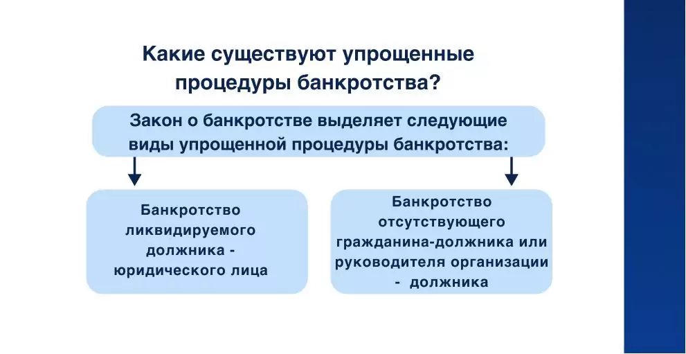 Вибы банкротства ЮЛ по упрощенной процедуре