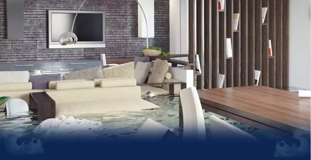 Юрист Хуан Анна Юрьевна объясняет: Затопили соседи: советы и рекомендации