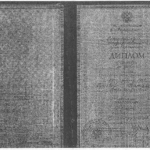 Диплом Щипановская Н.А. - Щипановская Наталья Александровна