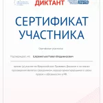 Сертификат участника проекта - Шереметьев Павел Владимирович