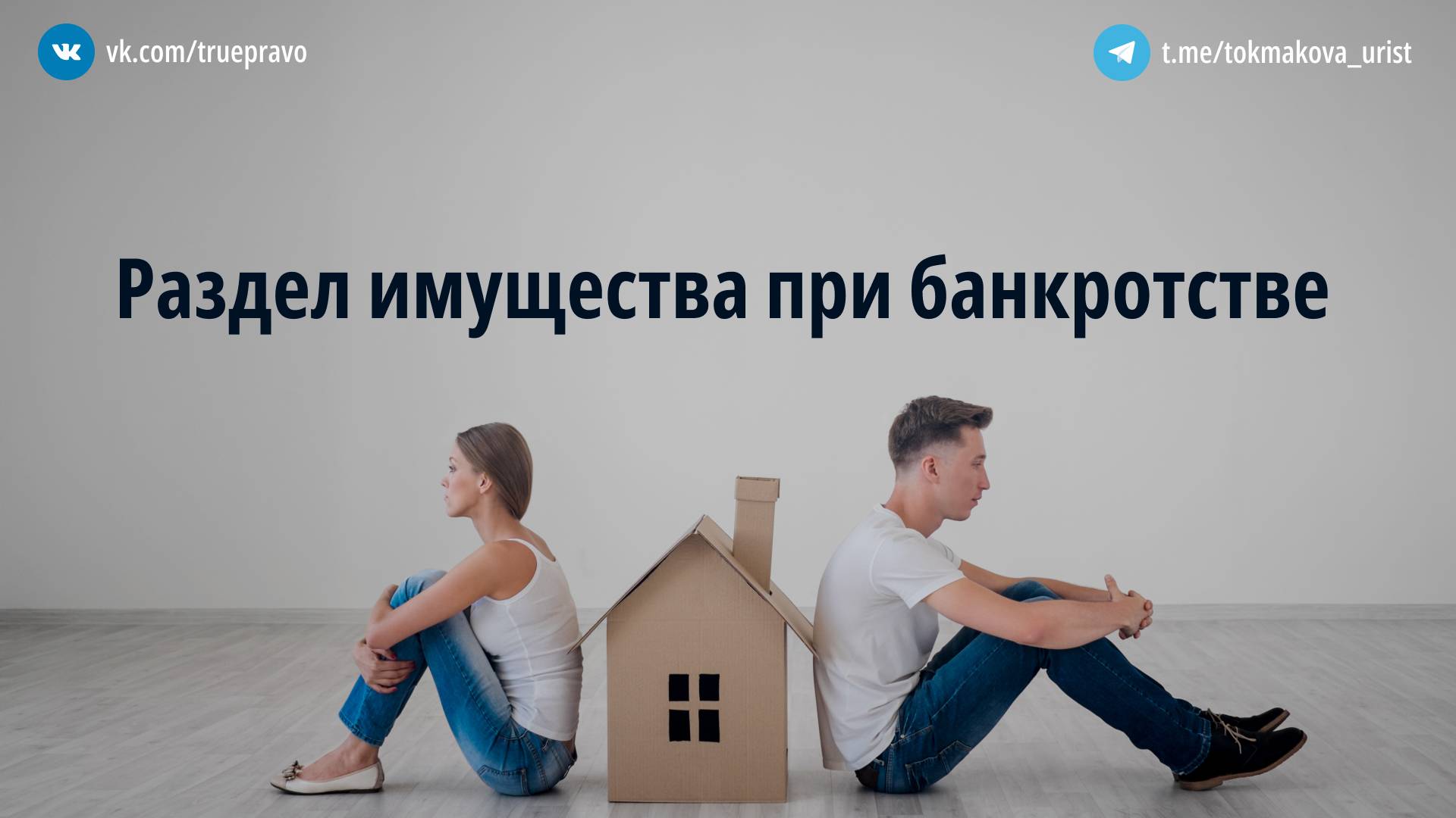 Адвокат Токмакова Татьяна Васильевна объясняет: Раздел имущества при банкротстве: почему не стоит «пилить» его самим
