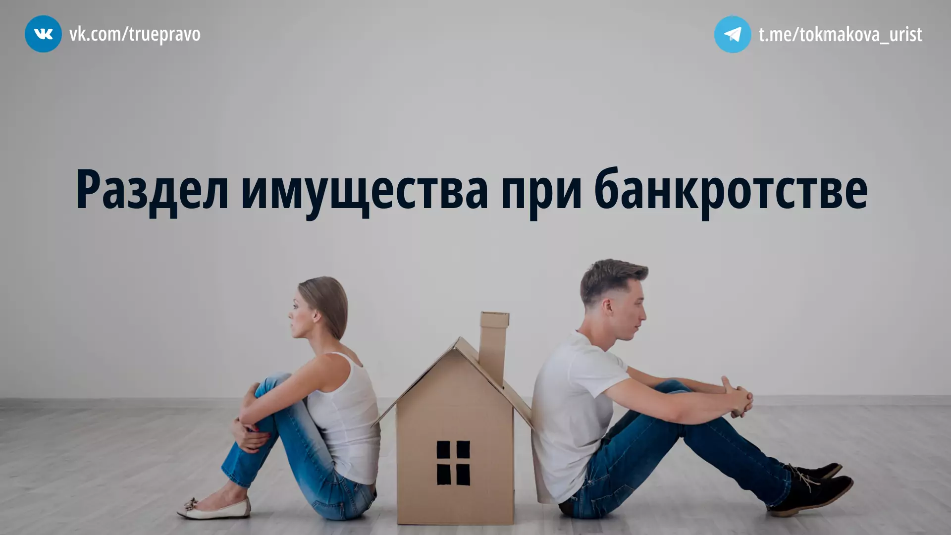 Адвокат Токмакова Татьяна Васильевна объясняет: Раздел имущества при банкротстве: почему не стоит «пилить» его самим