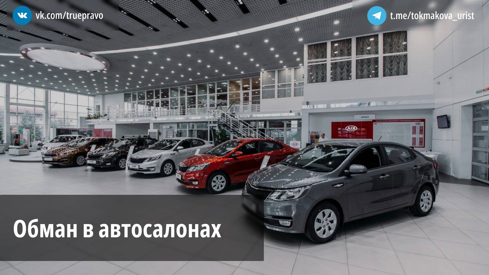 Адвокат Токмакова Татьяна Васильевна объясняет: Обман в автосалонах