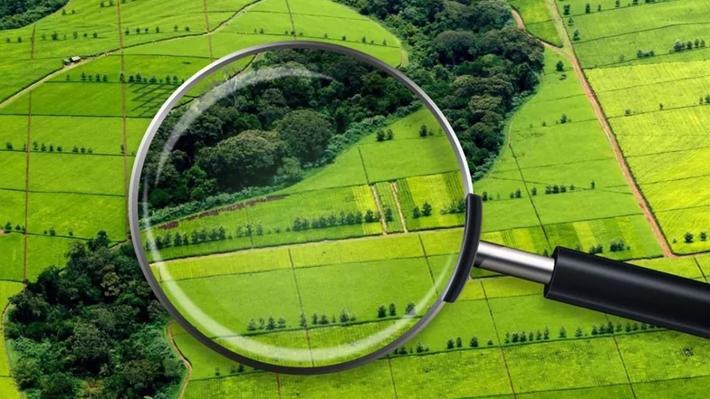 Юрист Степанова Анна Вячеславовна объясняет: Как проверить земельный участок при покупке?