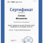 Сертификат - Москвитин Степан Витальевич