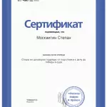 Сертификат - Москвитин Степан Витальевич