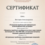 Сертификат - Швец Виктория Александровна