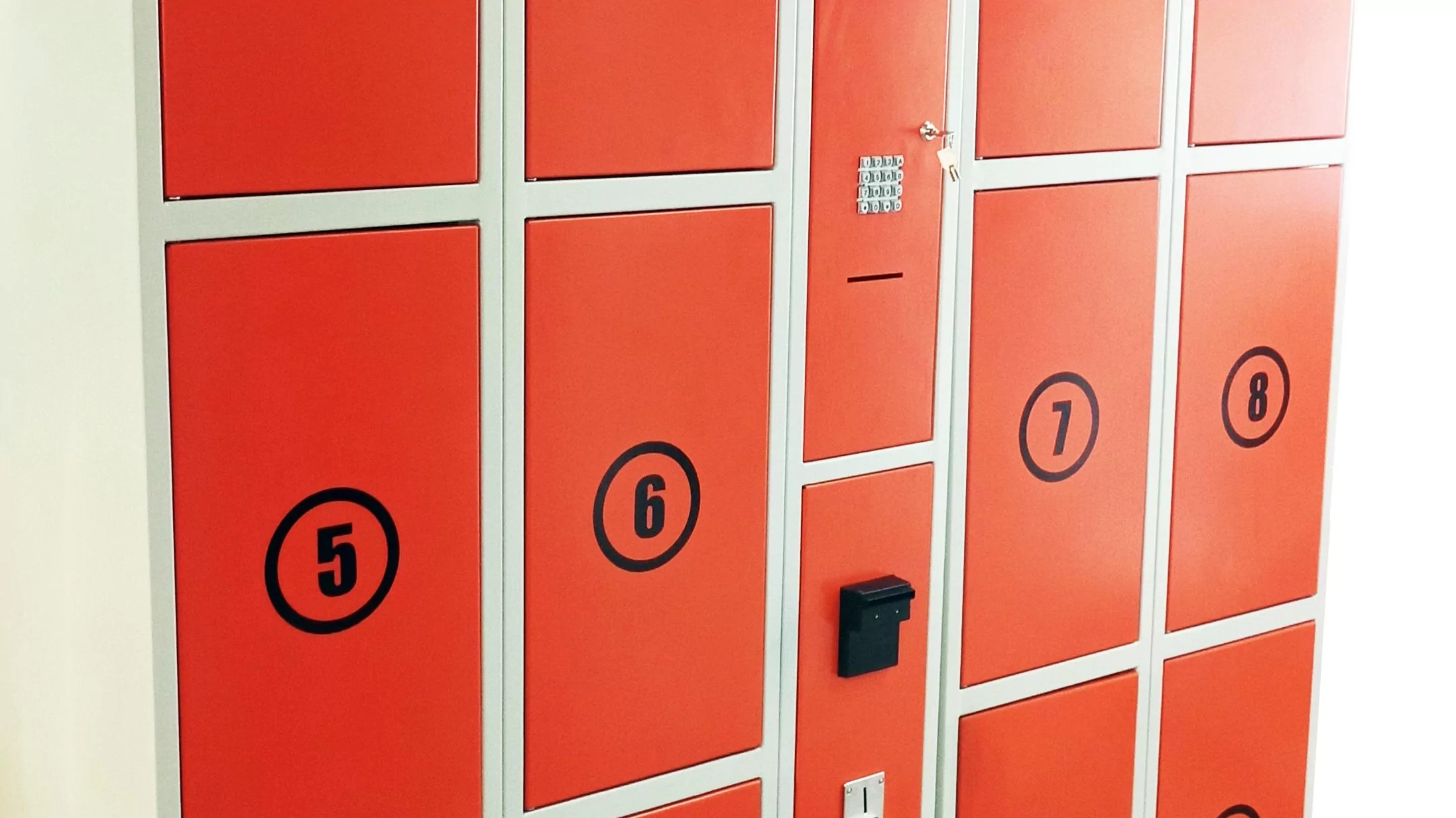 Юрист Оганесян Арег Каренович объясняет: Что делать если у вас украли вещи из камеры хранения магазина?