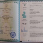 Диплом Герасимова А.А. - Герасимова Алёна Андреевна