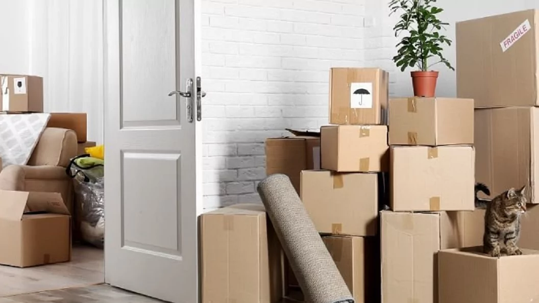 Юрист Фокеева Наталья Юрьевна объясняет: Жилье сироте. Решение суда