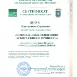 Серт. арб - Целух Константин Сергеевич