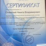 Сертификат - Огневский Никита Владимирович