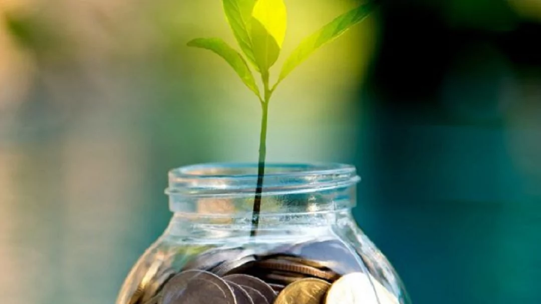 Юрист Фокеева Наталья Юрьевна объясняет: Кто получит пенсионные накопления умершего