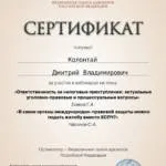 Сертификат - Колонтай Дмитрий Владимирович