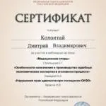 Сертификат - Колонтай Дмитрий Владимирович