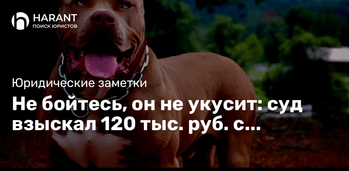 Не бойтесь, он не укусит: суд взыскал 120 тыс. руб. с владельца собаки