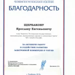 Благодарность Щербакову Я.Е. из ОПОРА РОССИИ - Щербаков Ярослав Евгеньевич