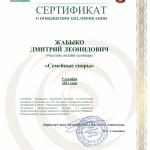 Сертификат - Жабыко Дмитрий Леонидович