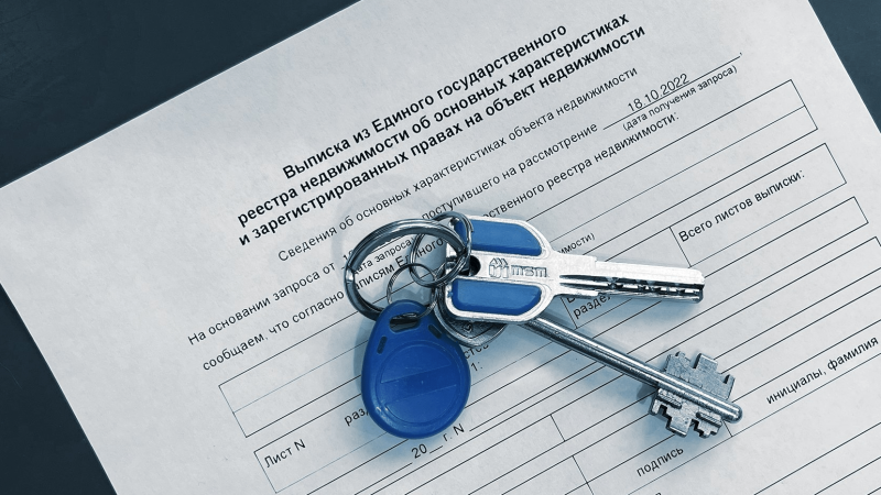 Юрист Степанова Анна Вячеславовна объясняет: Без выписок: как новые правила ЕГРН повлияют на рынок недвижимости ?