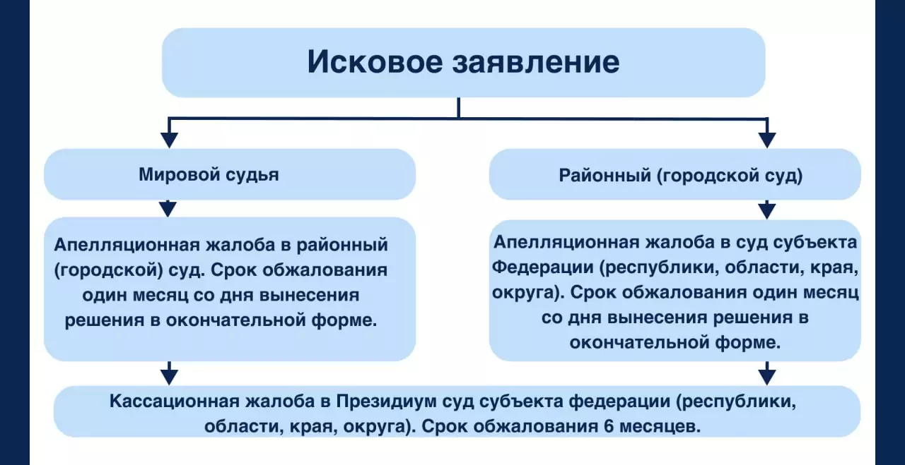 Куда надо обжаловать решение суда