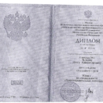 Диплом - Чурсин Олег Александрович