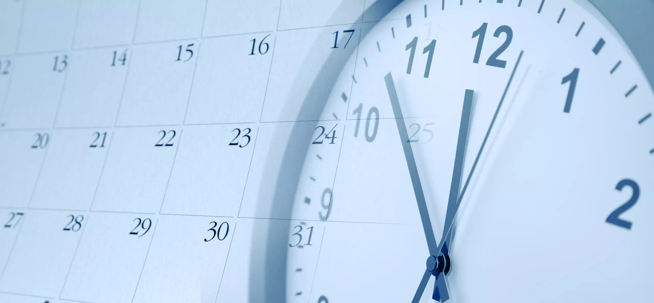 Юрист Костушевич Ольга Петровна объясняет: Важное о сроках