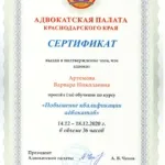 Сертификат Артемова В.А. - Артемова Варвара Николаевна