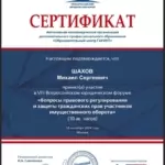 11 - Шахов Михаил Сергеевич