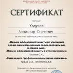 Сертификат 1 - Ходунов Александр Сергеевич