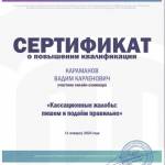 Санкт-Петербургский институт адвокатуры, онлайн-семинар «Кассационные жалобы пишем и подаём правильно» - Караманов Вадим Карленович