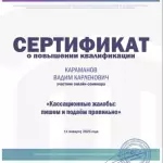 Санкт-Петербургский институт адвокатуры, онлайн-семинар «Кассационные жалобы пишем и подаём правильно» - Караманов Вадим Карленович