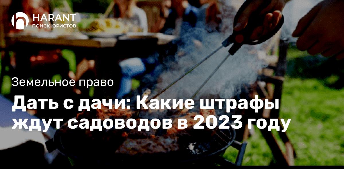 Дать с дачи: Какие штрафы ждут садоводов в 2023 году