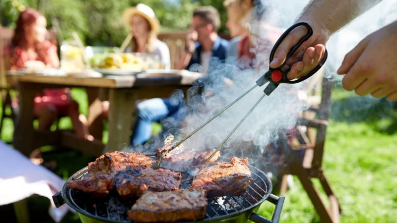 Юрист Степанова Анна Вячеславовна объясняет: Дать с дачи: Какие штрафы ждут садоводов в 2023 году