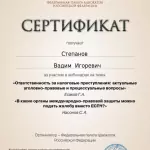 Сертификат - Степанов Вадим Игоревич