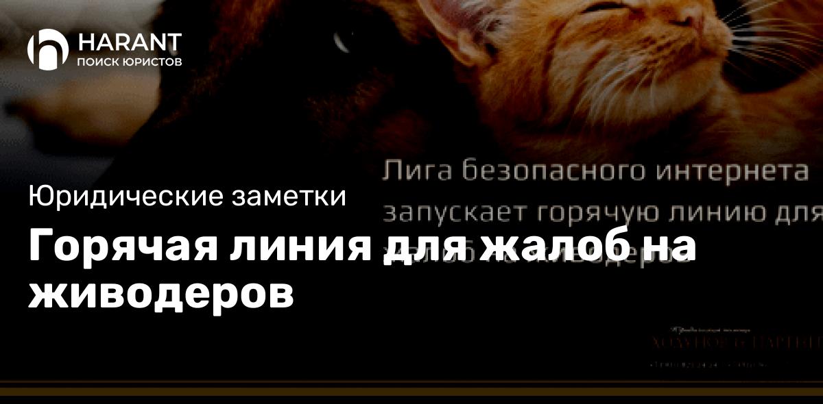 Горячая линия для жалоб на живодеров