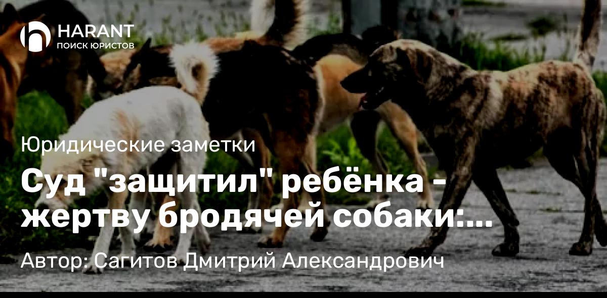 Юрист Сагитов Дмитрий Александрович объясняет: Суд “защитил” ребёнка – жертву бродячей собаки: Реальное судебное дело